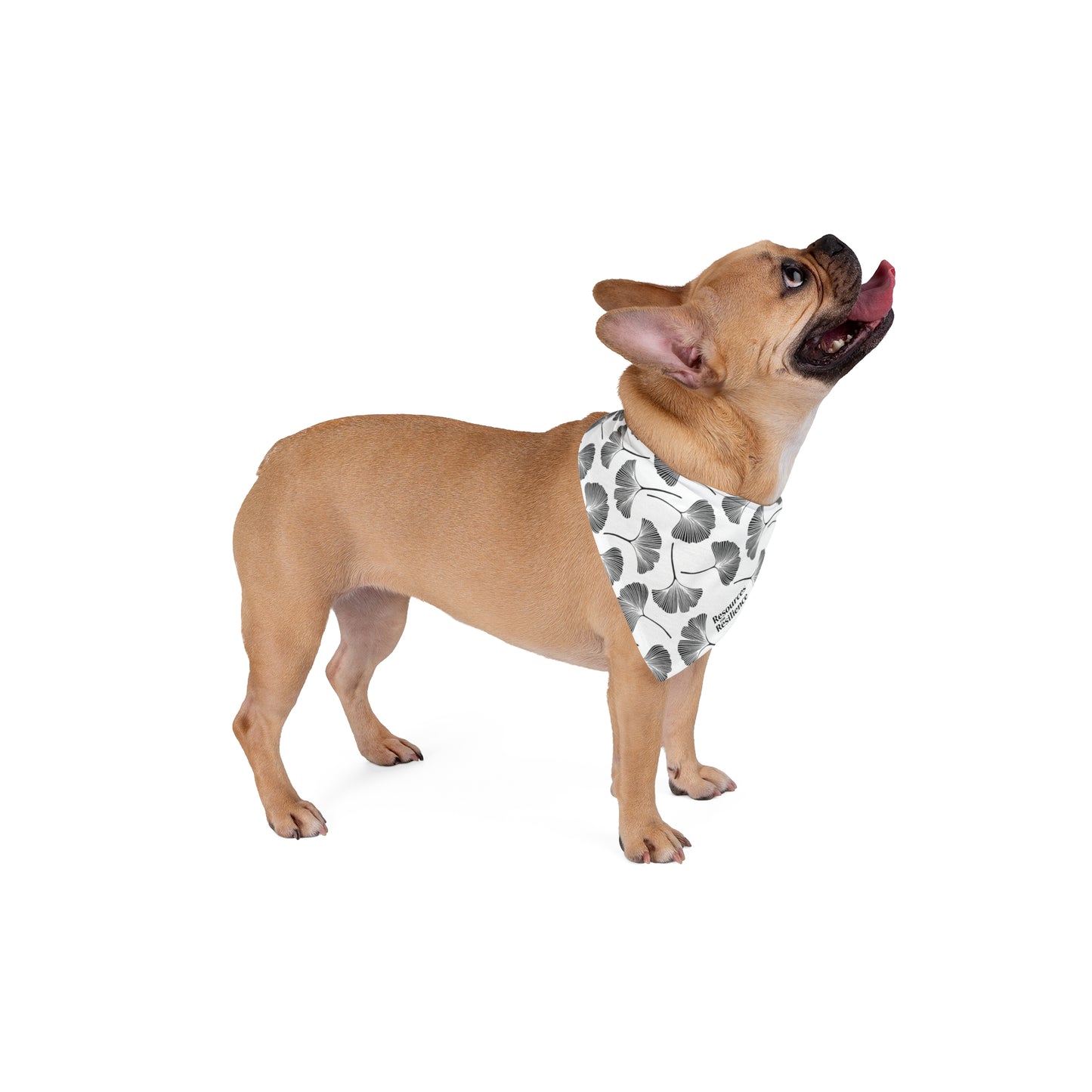Ginkgo Leaf Pet Bandana (White)