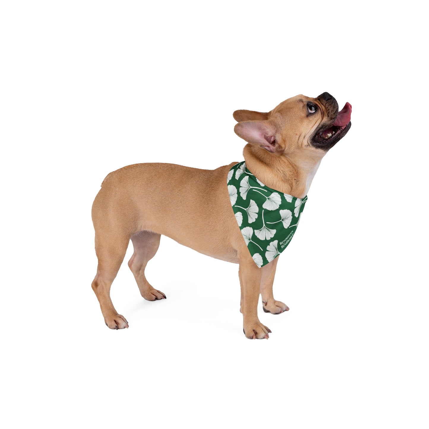 Ginkgo Leaf Pet Bandana (Green)