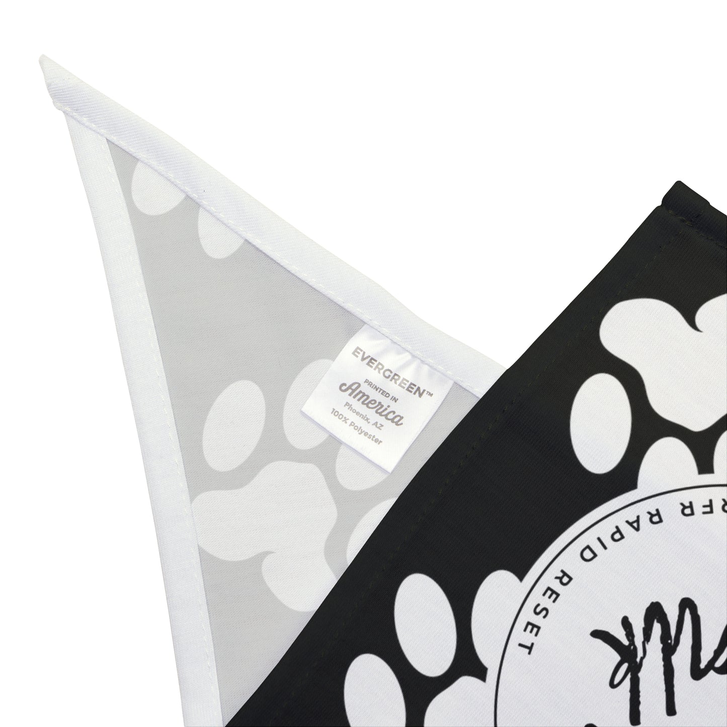 Take a Walk Pet Bandana (Black)