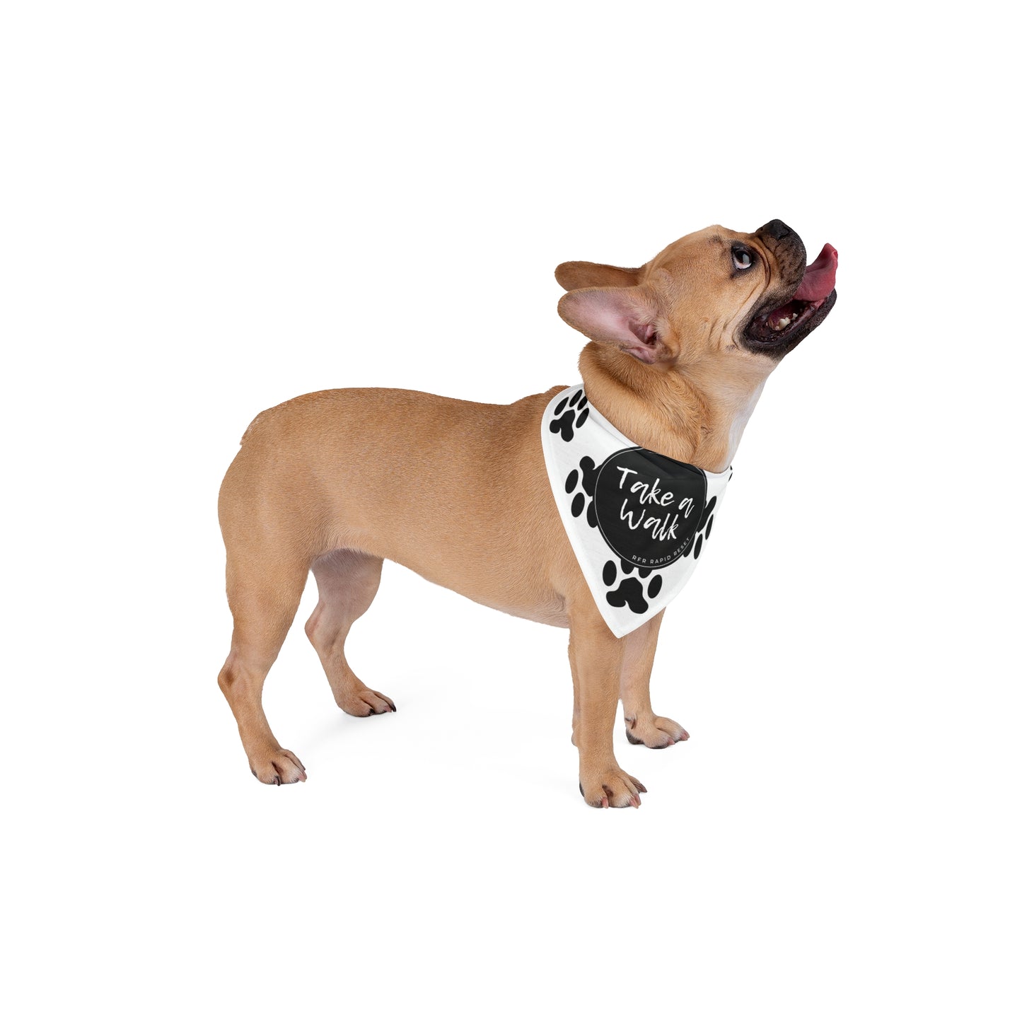 Take a Walk Pet Bandana (White)