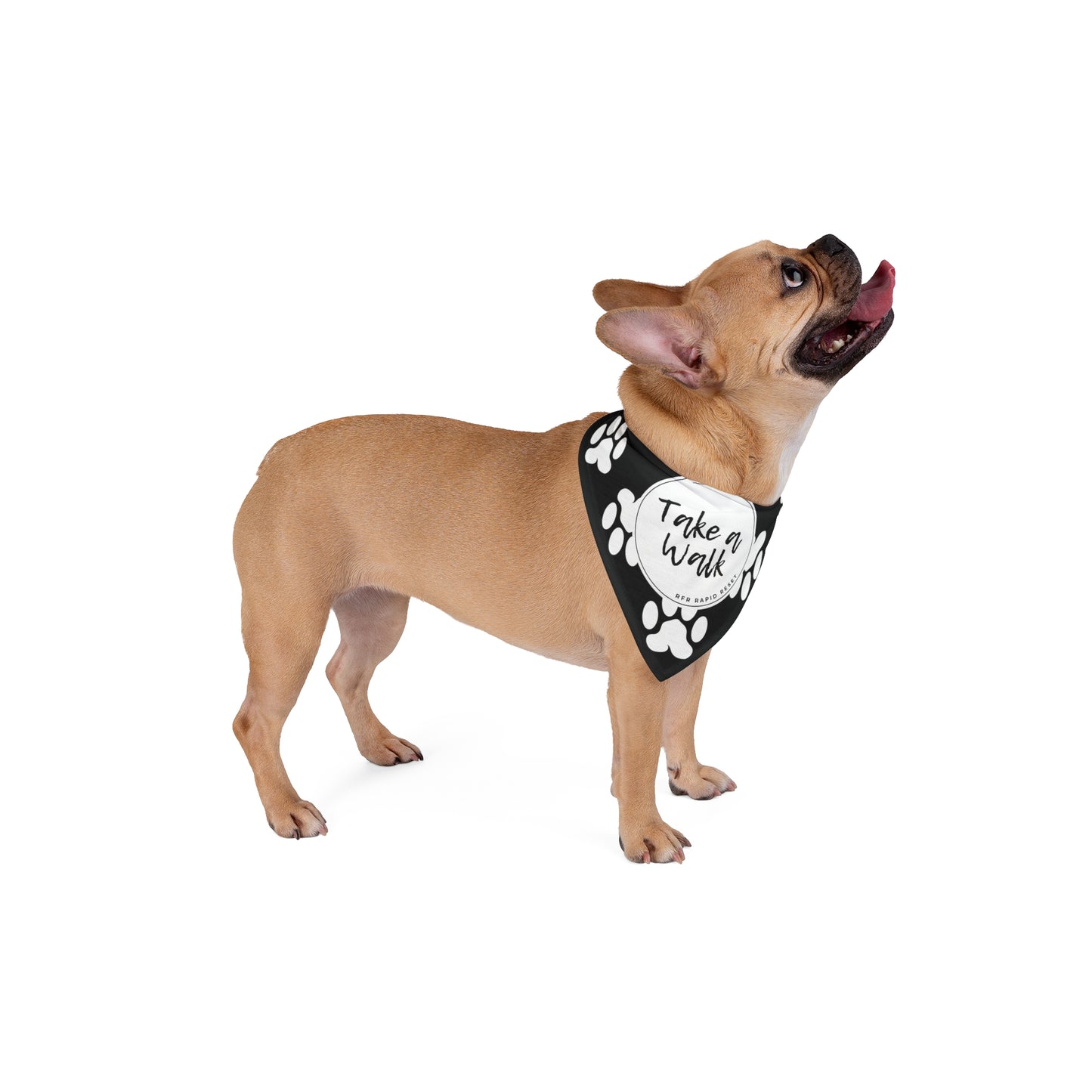 Take a Walk Pet Bandana (Black)